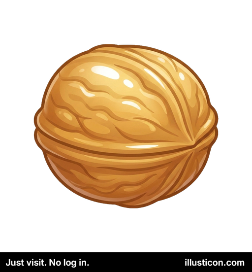 Whole Walnut Nut Icon